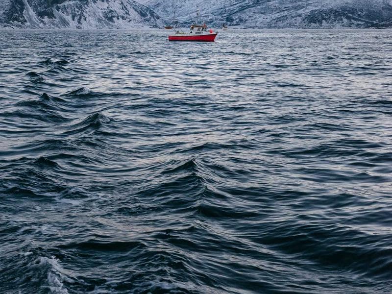 Imagem 2 de Apartamento - Savassi