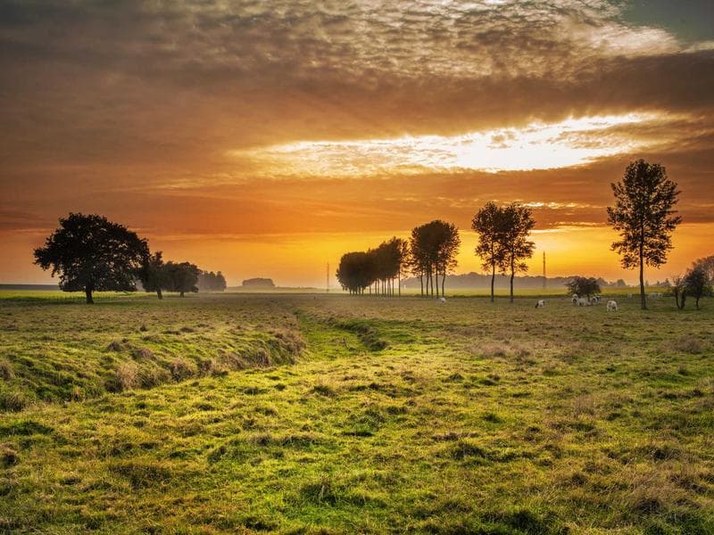 Imagem 2 de Apartamento - Copacabana