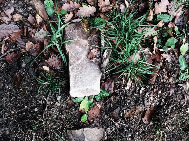 Imagem 2 de Apartamento - Centro