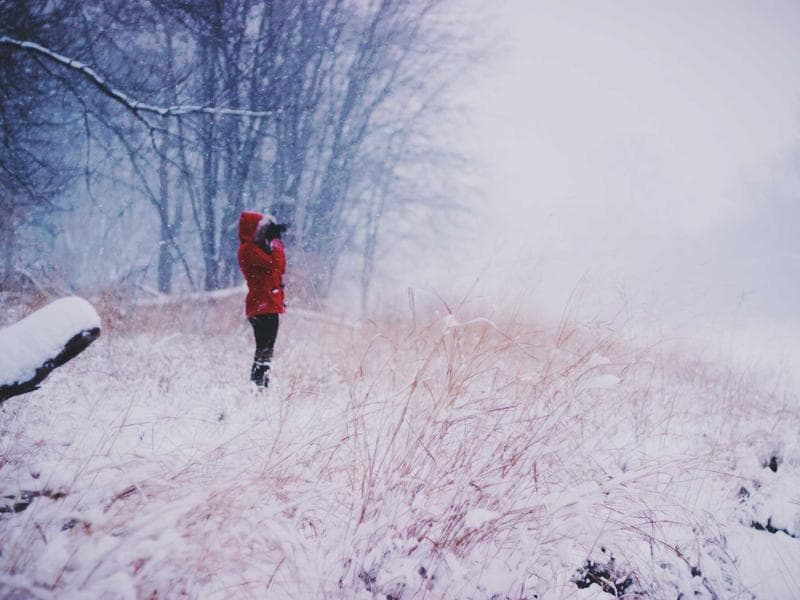 Imagem 2 de Imóvel Comercial - Centro