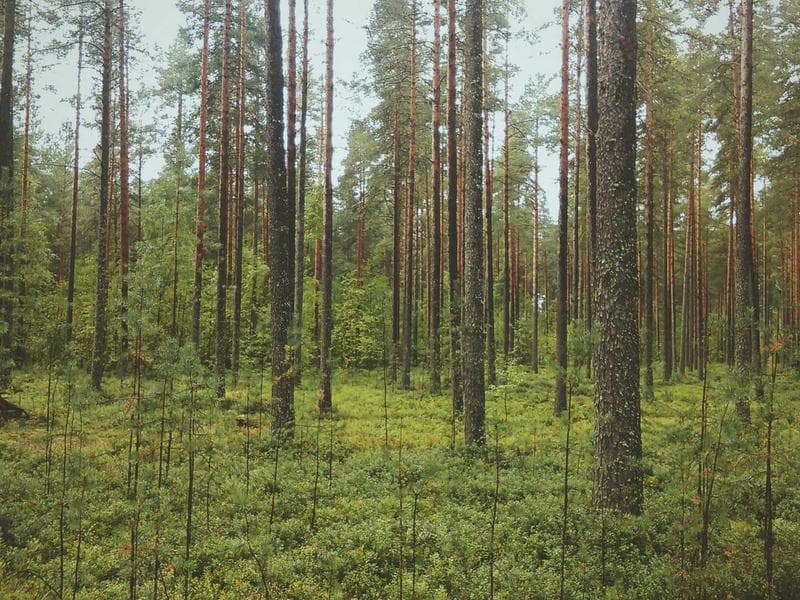 Imagem 2 de Imóvel Comercial - Centro