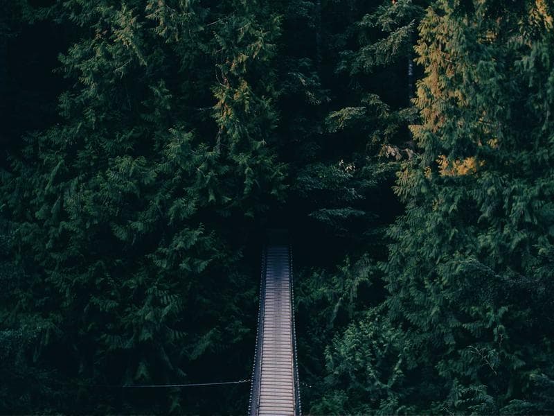 Imagem 4 de Toyota Corolla 2019 Automático