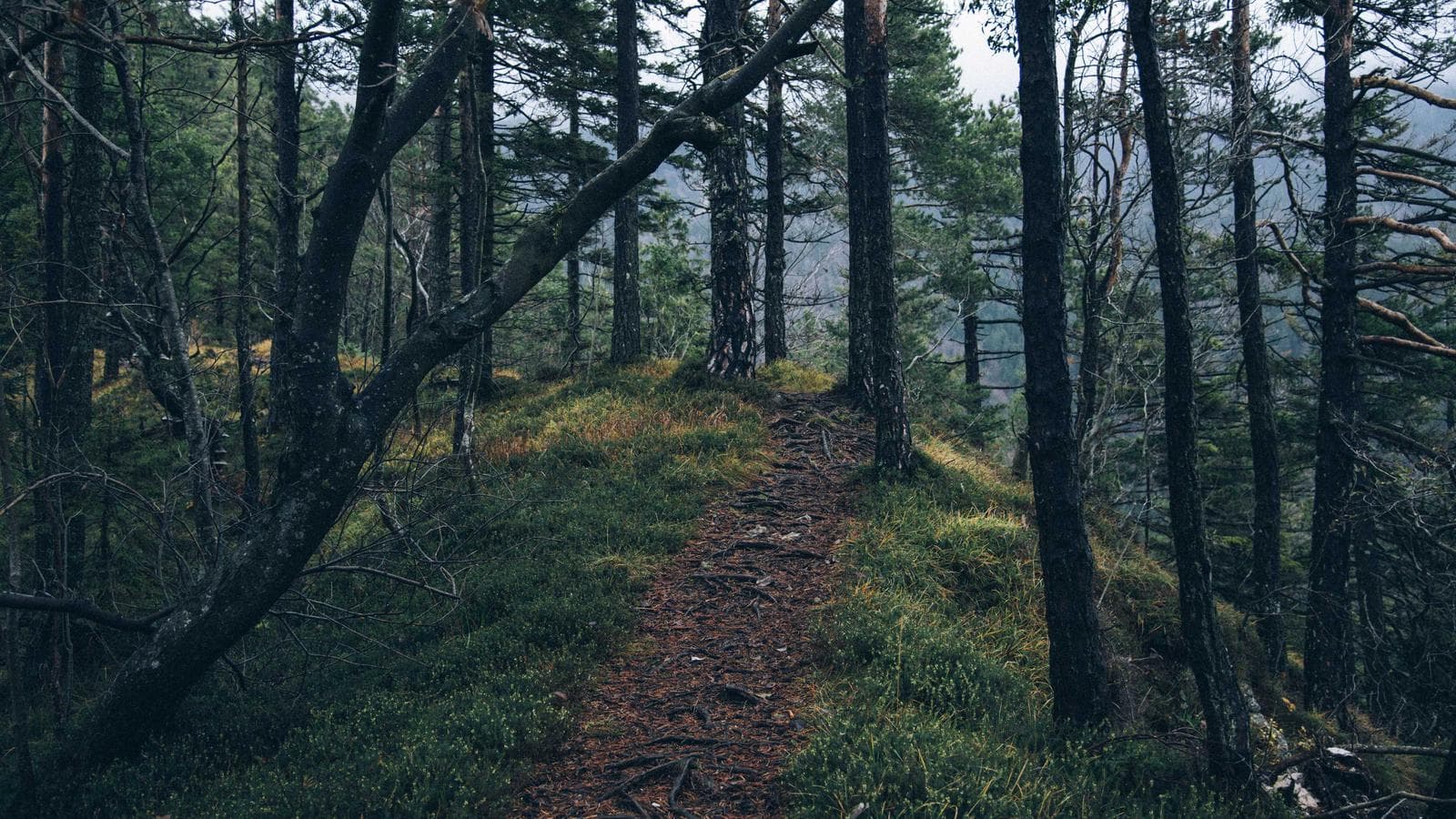 Imagem 4 de Sala Comercial 100m² - Centro