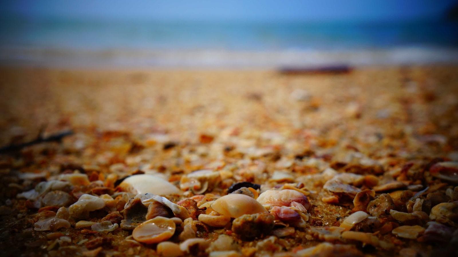 Imagem 5 de Sala Comercial 100m² - Centro