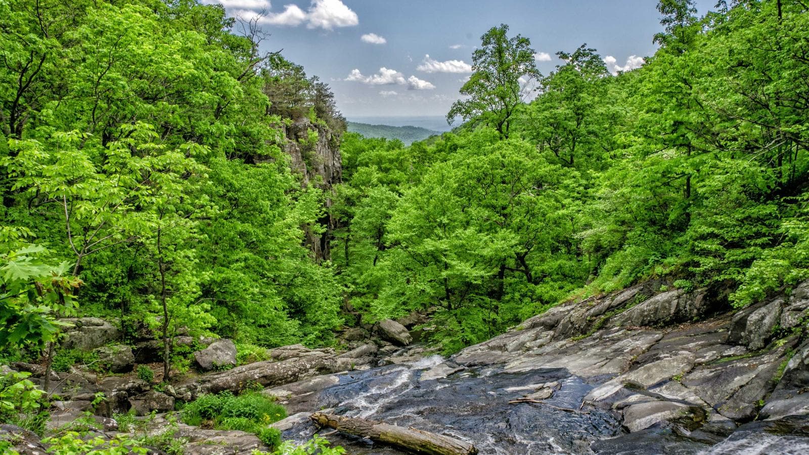 Imagem 4 de Galpão Industrial 500m² - Zona Industrial