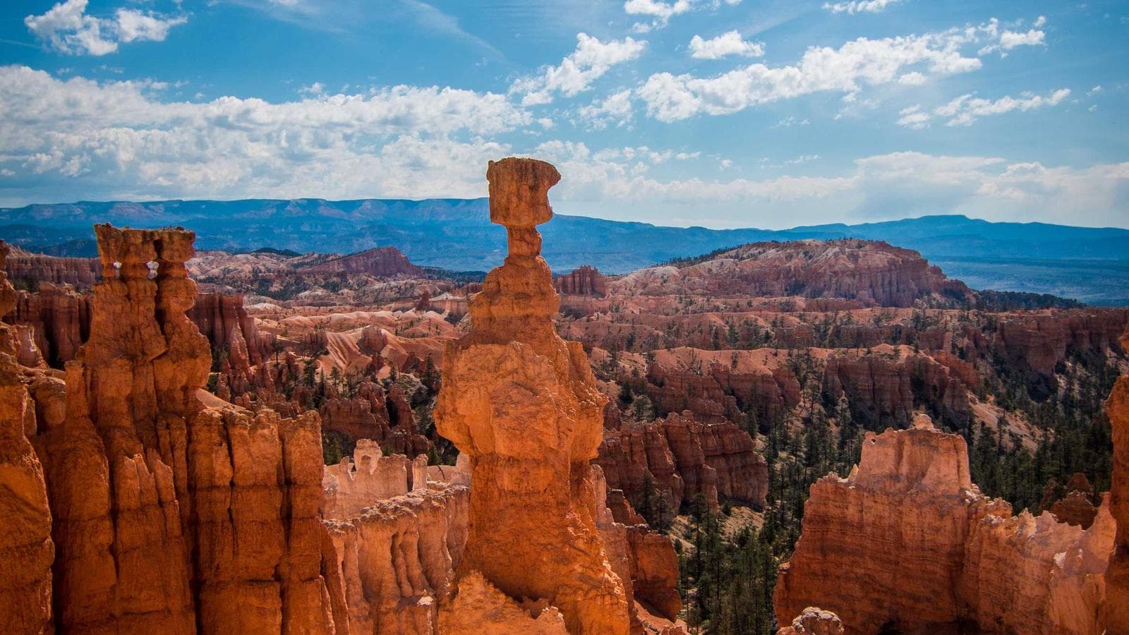 Imagem 4 de Galpão Industrial 500m² - Zona Industrial