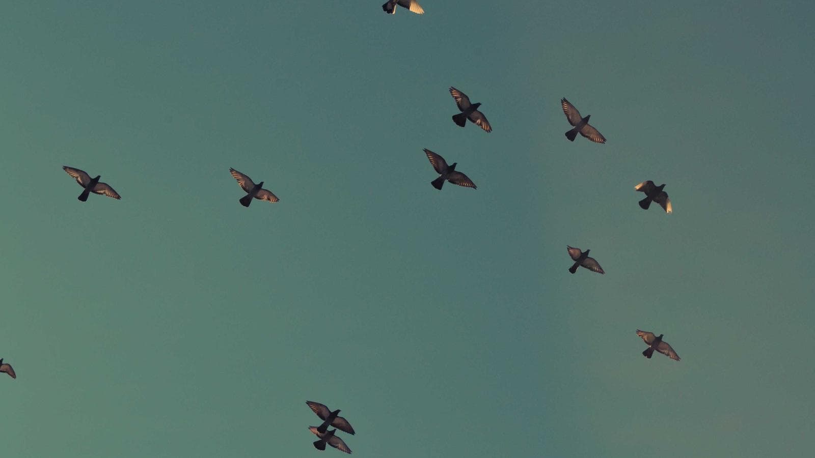 Imagem 6 de Galpão Industrial 500m² - Zona Industrial