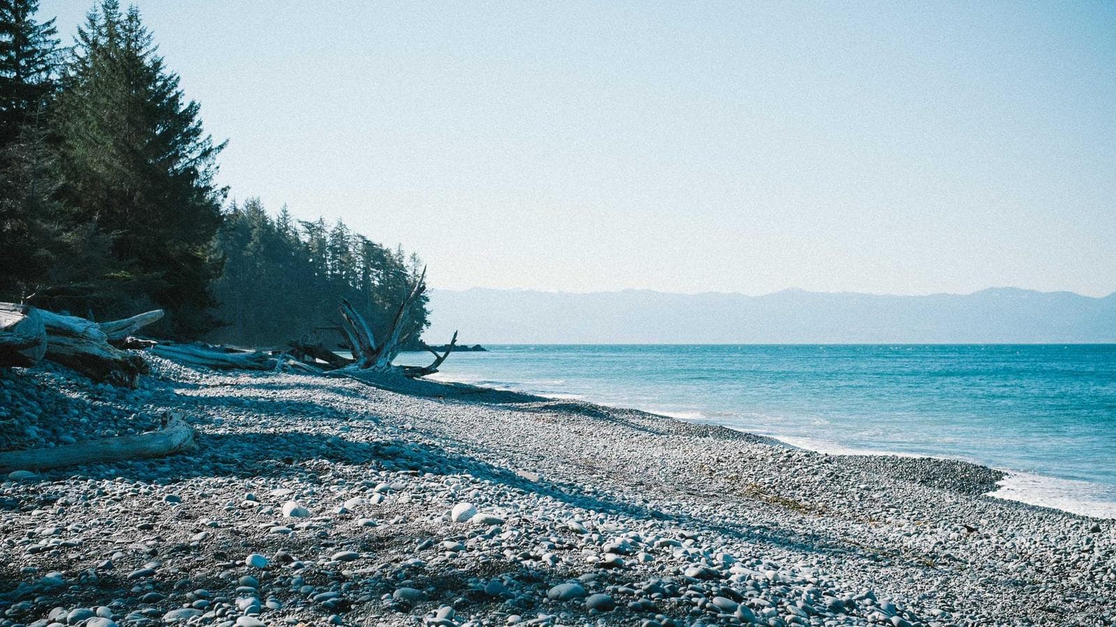 Imagem 4 de Sala Comercial 100m² - Centro