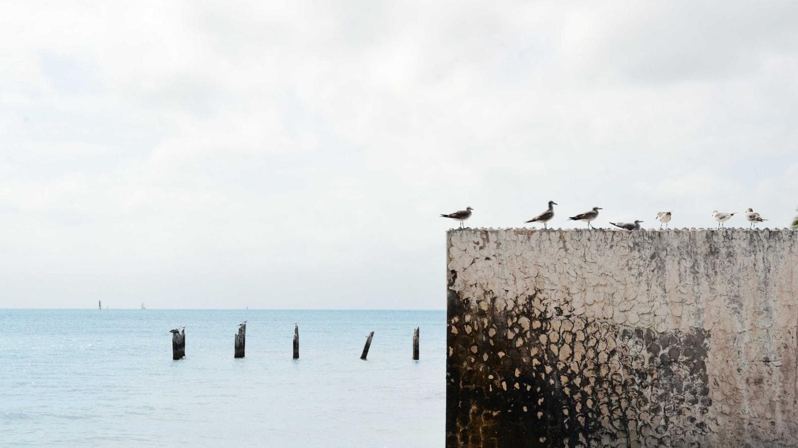 Imagem 5 de Sala Comercial 100m² - Centro