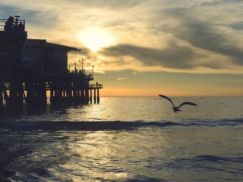 Apartamento - Savassi