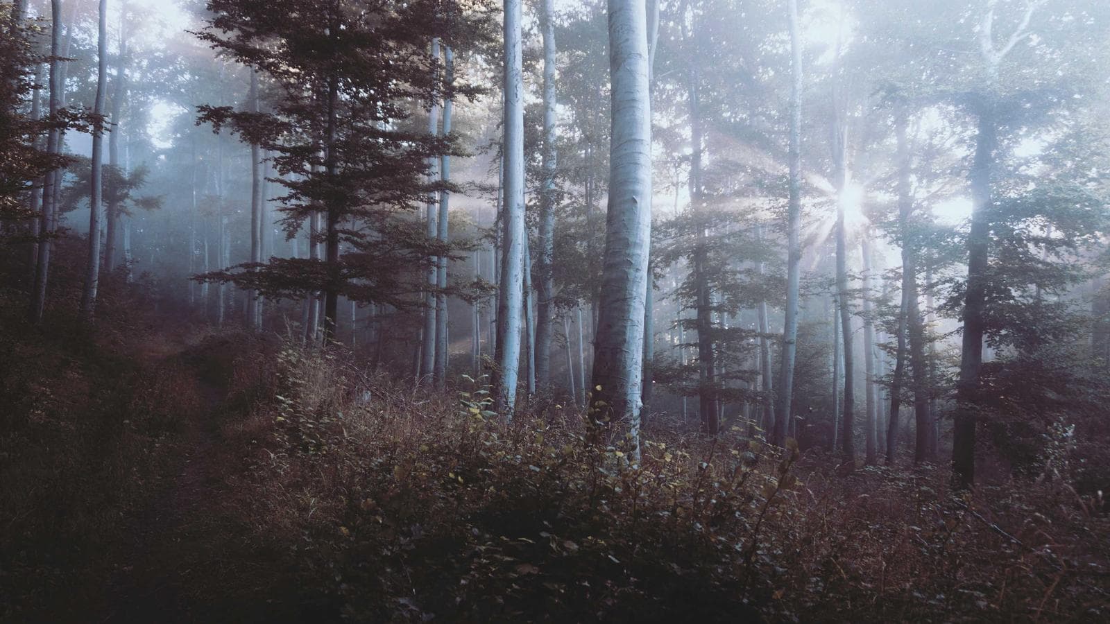 Logo Construtora ABC Ltda - Comitente