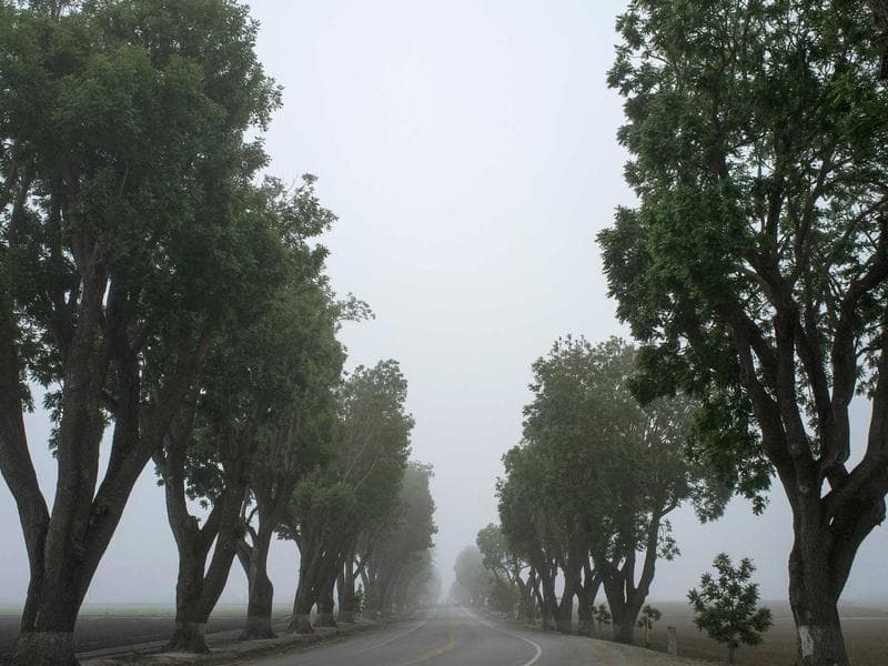 Imagem 2 de Apartamento - Copacabana