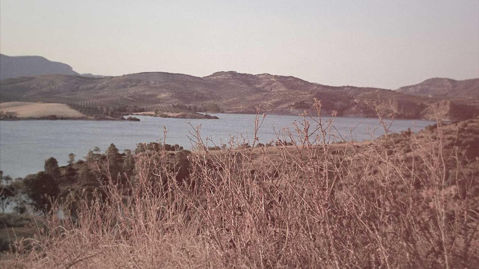 Imagem 1 de Sala Comercial 100m² - Centro