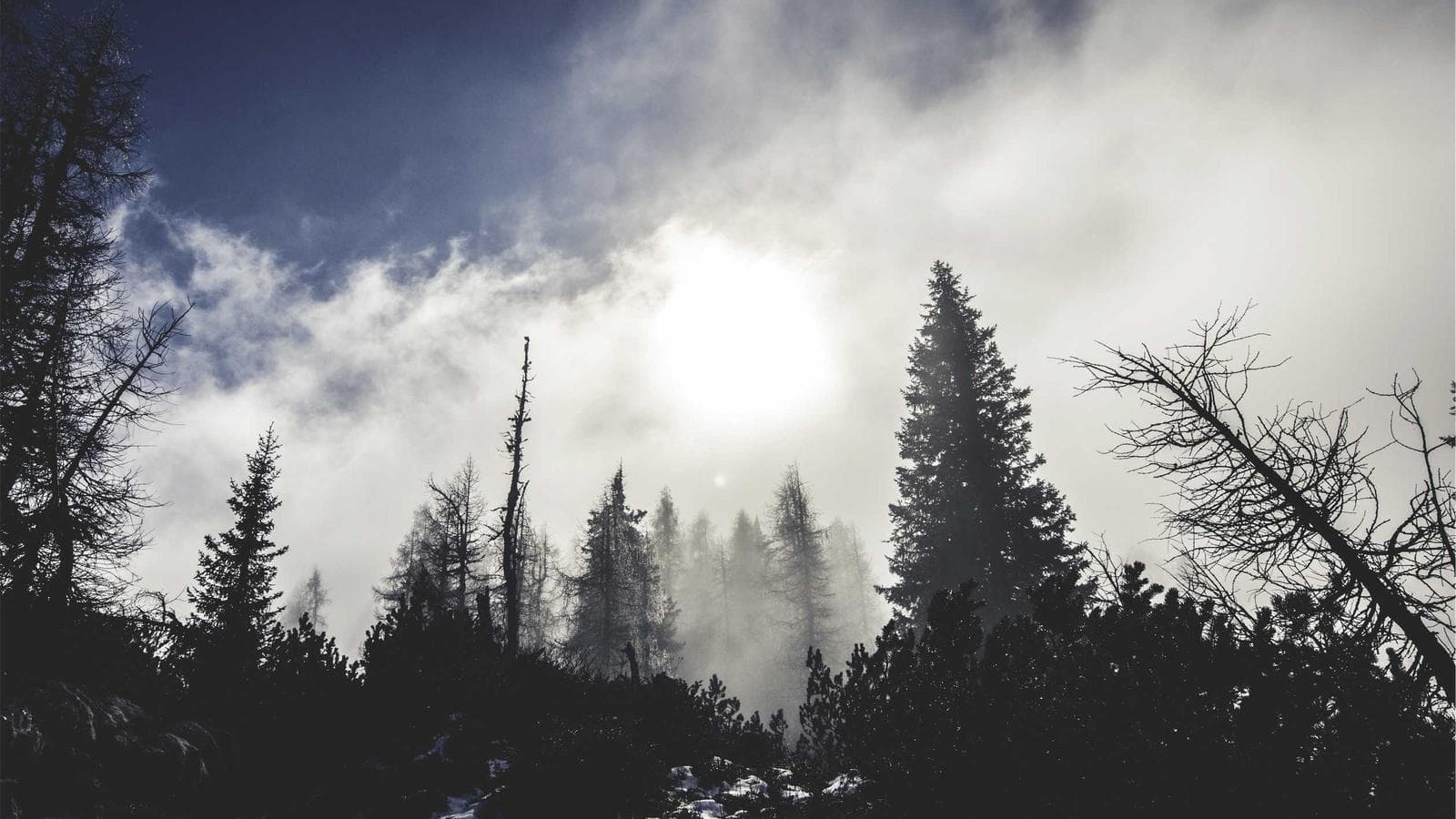 Imagem 2 de Apartamento 2Q - Zona Residencial