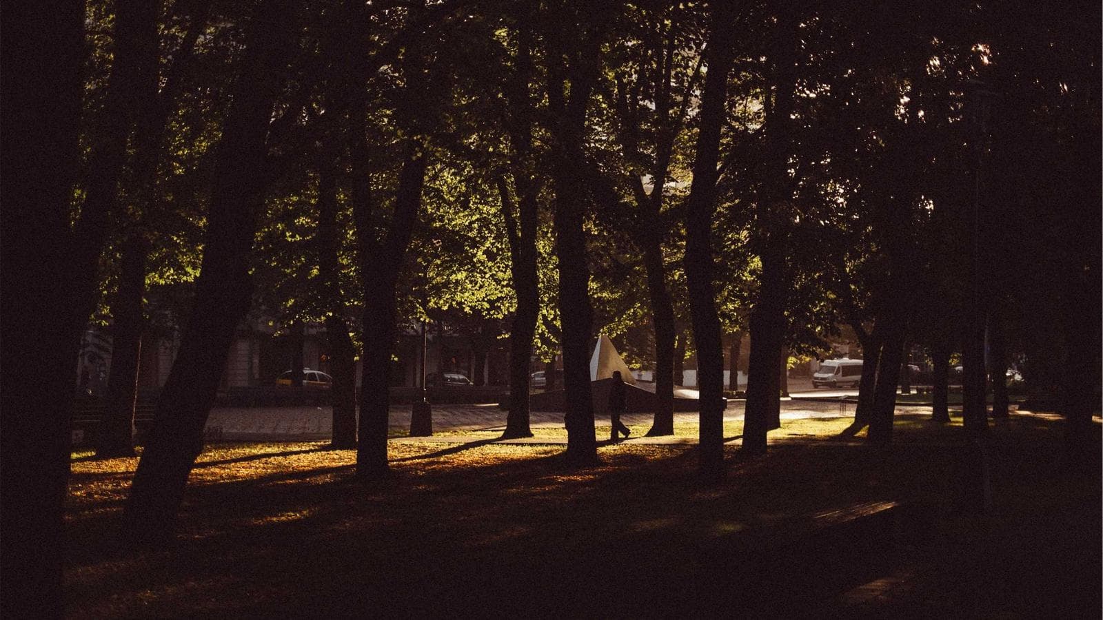 Imagem 2 de Honda Civic 2020 Automático