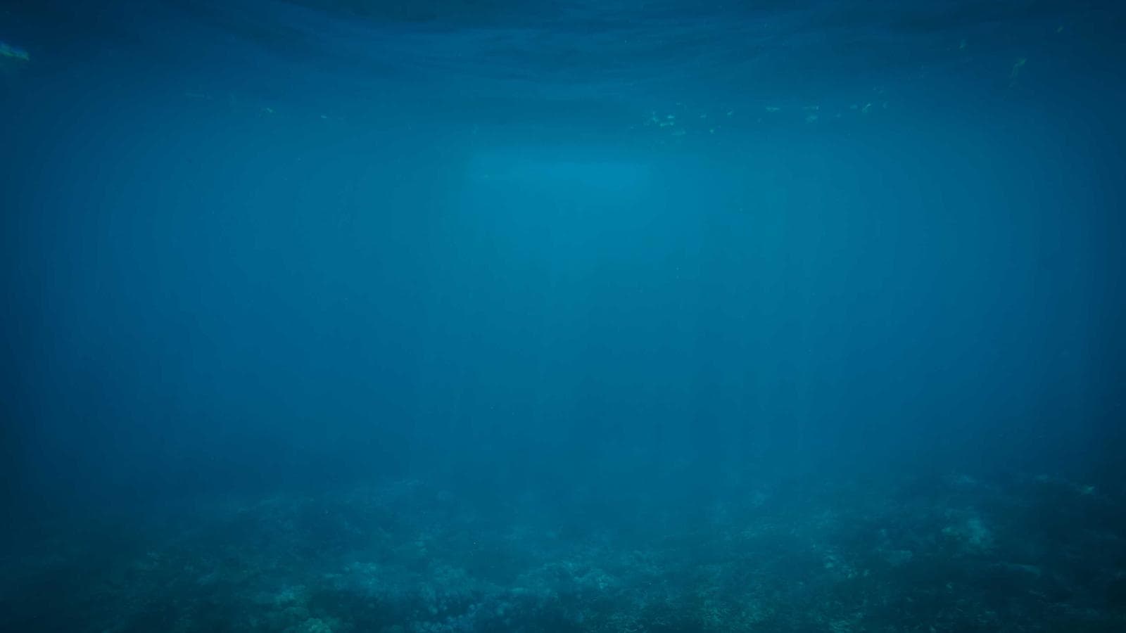 Imagem 2 de Honda Civic 2020 Automático