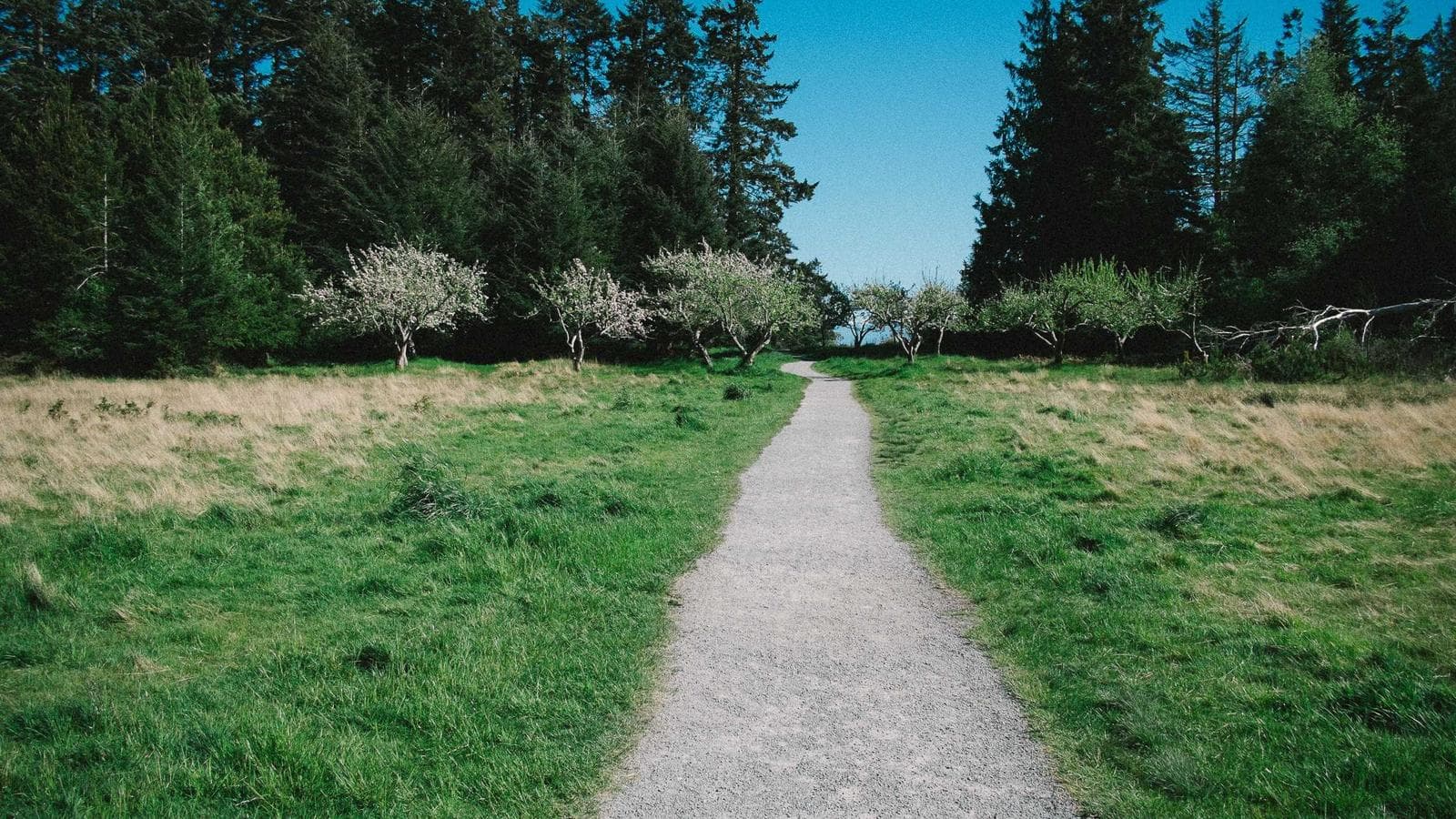 Imagem 3 de Apartamento 2Q - Zona Residencial