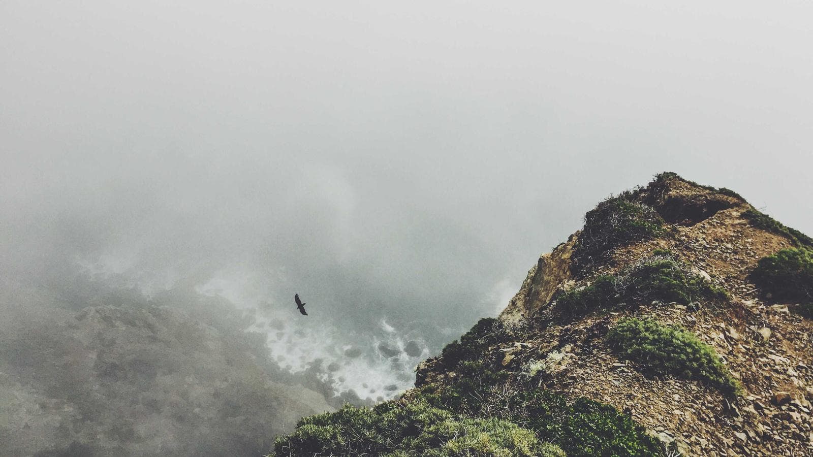 Imagem 2 de Toyota Corolla 2019 Automático