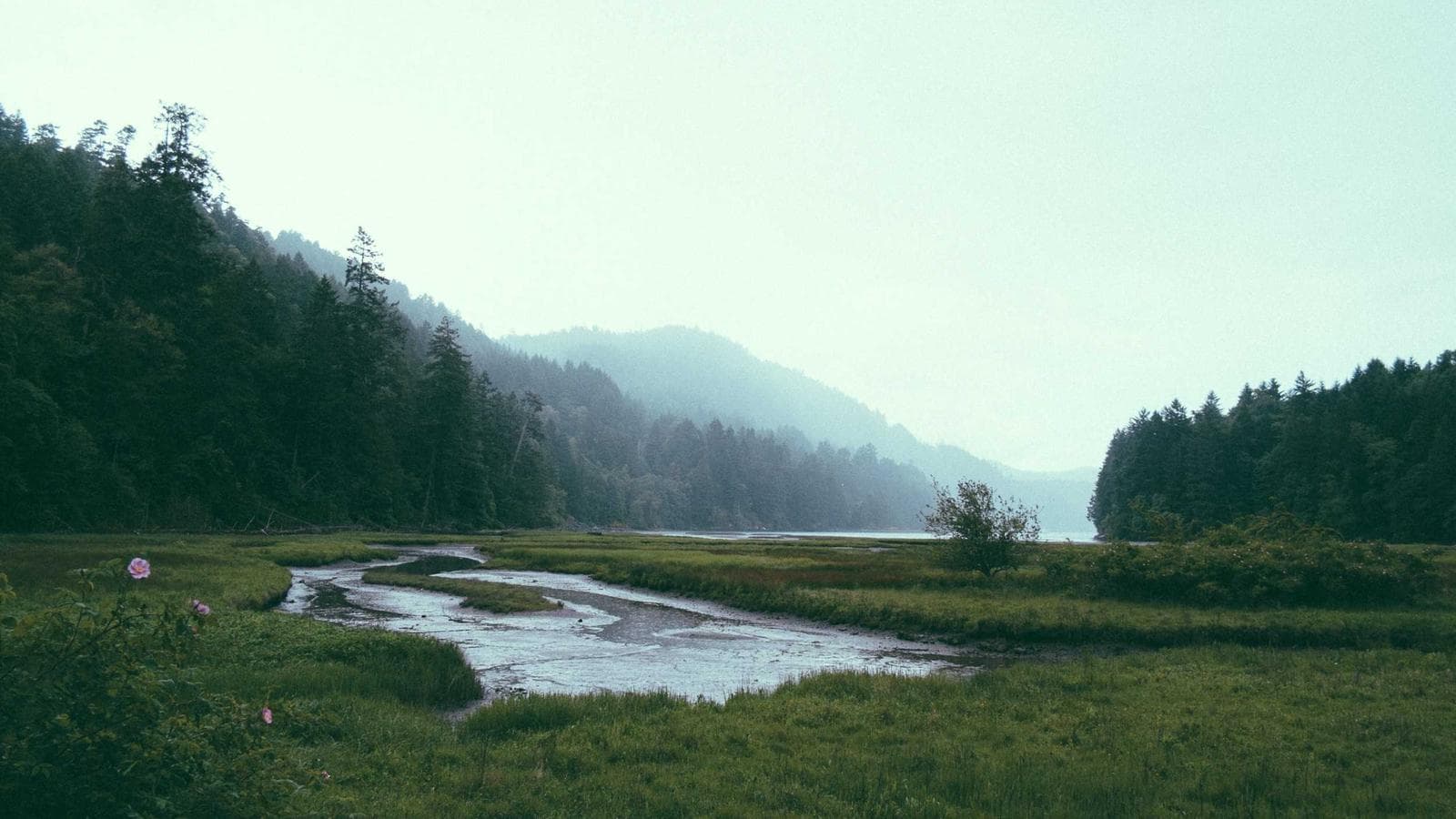 Imagem 1 de Lote de 50 Cadeiras Gamer