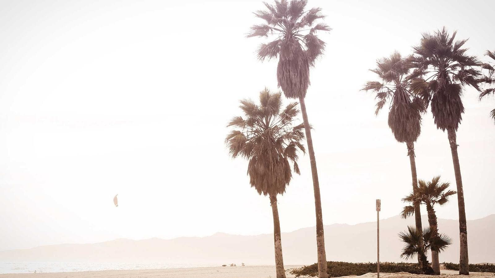 Imagem 1 de Fiat Uno 2018 Hatch