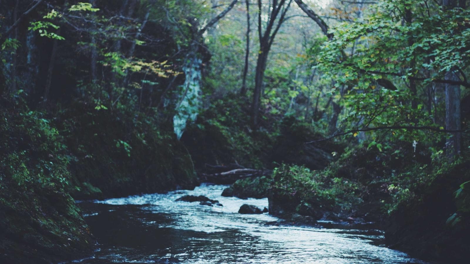 Imagem 1 de Honda Civic 2020 Automático