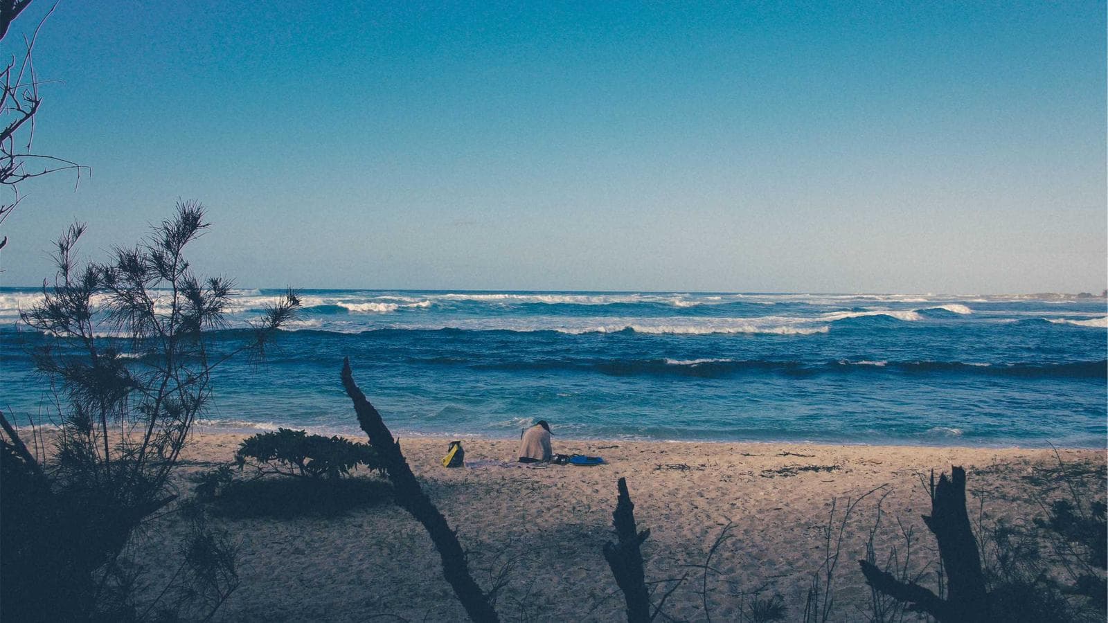 Imagem 1 de Toyota Corolla 2019 Automático