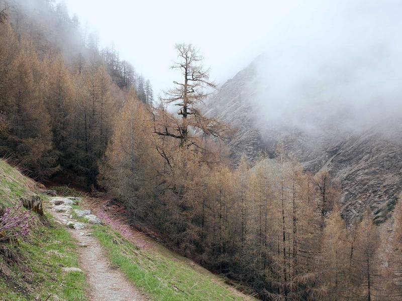 Imagem 2 de Apartamento - Savassi